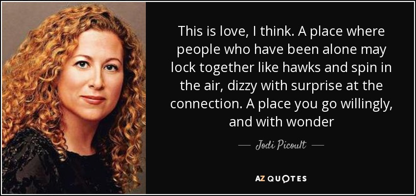 This is love, I think. A place where people who have been alone may lock together like hawks and spin in the air, dizzy with surprise at the connection. A place you go willingly, and with wonder - Jodi Picoult