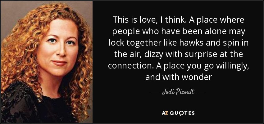 This is love, I think. A place where people who have been alone may lock together like hawks and spin in the air, dizzy with surprise at the connection. A place you go willingly, and with wonder - Jodi Picoult