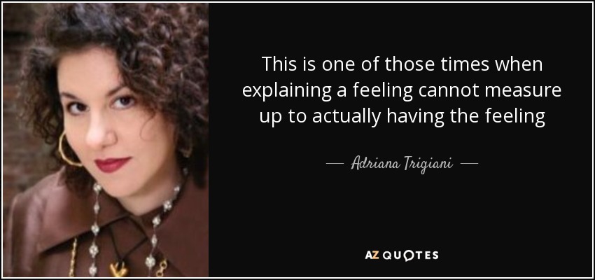 This is one of those times when explaining a feeling cannot measure up to actually having the feeling - Adriana Trigiani