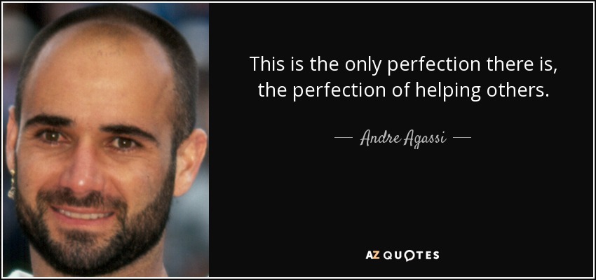 This is the only perfection there is, the perfection of helping others. - Andre Agassi