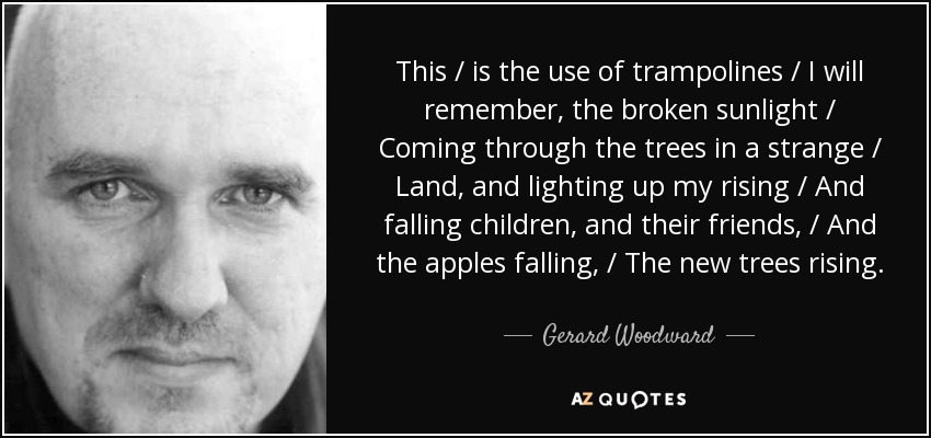 This / is the use of trampolines / I will remember, the broken sunlight / Coming through the trees in a strange / Land, and lighting up my rising / And falling children, and their friends, / And the apples falling, / The new trees rising. - Gerard Woodward