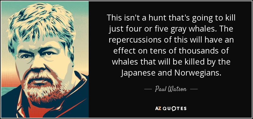 This isn't a hunt that's going to kill just four or five gray whales. The repercussions of this will have an effect on tens of thousands of whales that will be killed by the Japanese and Norwegians. - Paul Watson