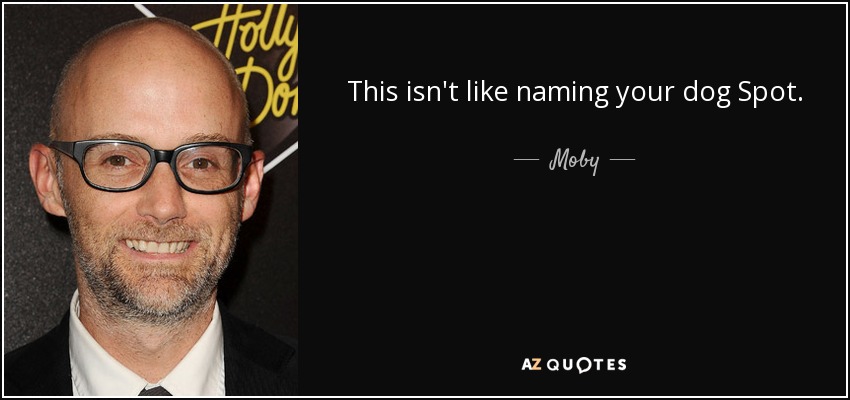 This isn't like naming your dog Spot. - Moby