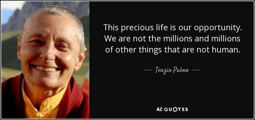 This precious life is our opportunity. We are not the millions and millions of other things that are not human. - Tenzin Palmo