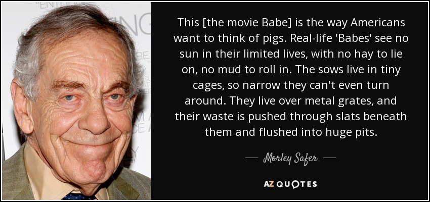 This [the movie Babe] is the way Americans want to think of pigs. Real-life 'Babes' see no sun in their limited lives, with no hay to lie on, no mud to roll in. The sows live in tiny cages, so narrow they can't even turn around. They live over metal grates, and their waste is pushed through slats beneath them and flushed into huge pits. - Morley Safer