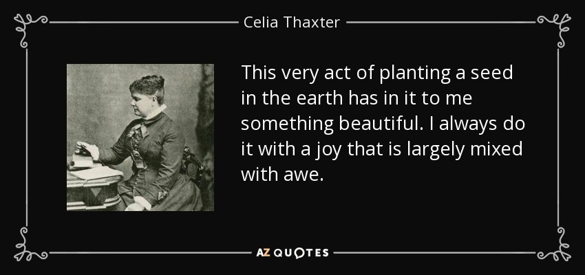 This very act of planting a seed in the earth has in it to me something beautiful. I always do it with a joy that is largely mixed with awe. - Celia Thaxter