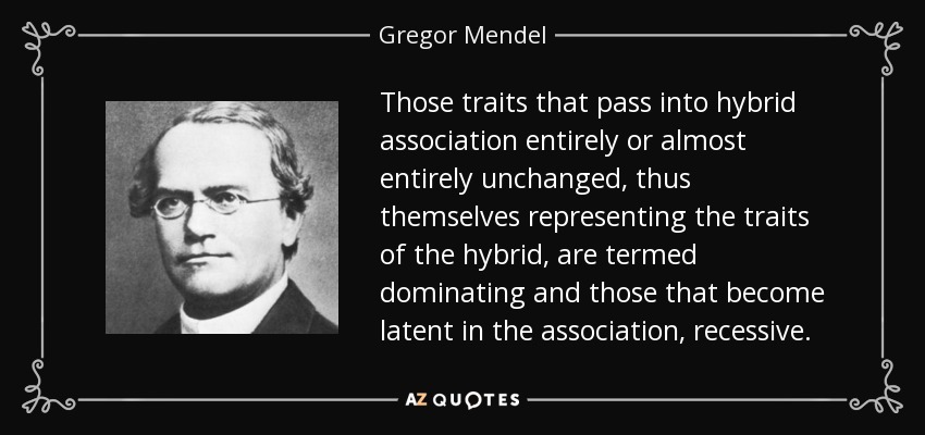 Those traits that pass into hybrid association entirely or almost entirely unchanged, thus themselves representing the traits of the hybrid, are termed dominating and those that become latent in the association, recessive. - Gregor Mendel