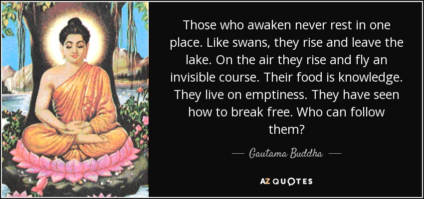 Those who awaken never rest in one place. Like swans, they rise and leave the lake. On the air they rise and fly an invisible course. Their food is knowledge. They live on emptiness. They have seen how to break free. Who can follow them? - Gautama Buddha