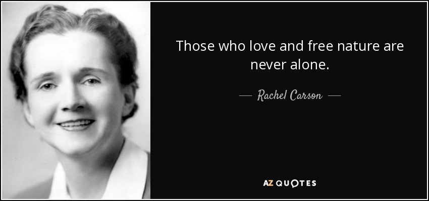 Those who love and free nature are never alone. - Rachel Carson