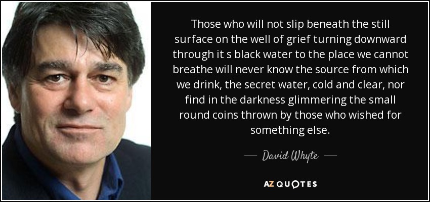 Those who will not slip beneath the still surface on the well of grief turning downward through it s black water to the place we cannot breathe will never know the source from which we drink, the secret water, cold and clear, nor find in the darkness glimmering the small round coins thrown by those who wished for something else. - David Whyte