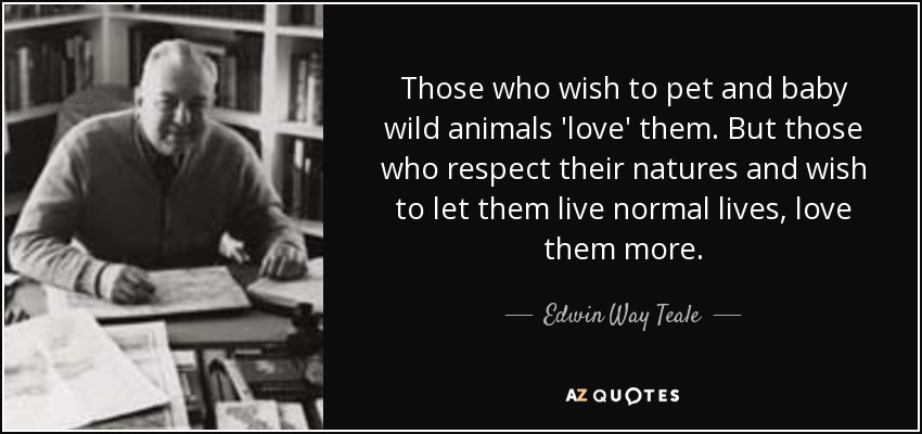 Those who wish to pet and baby wild animals 'love' them. But those who respect their natures and wish to let them live normal lives, love them more. - Edwin Way Teale