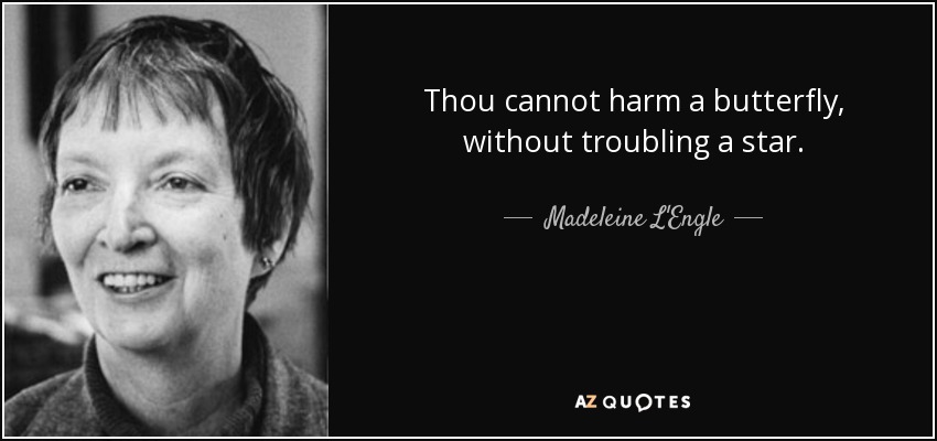 Thou cannot harm a butterfly, without troubling a star. - Madeleine L'Engle