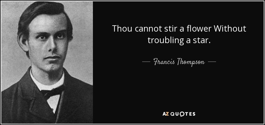 Thou cannot stir a flower Without troubling a star. - Francis Thompson
