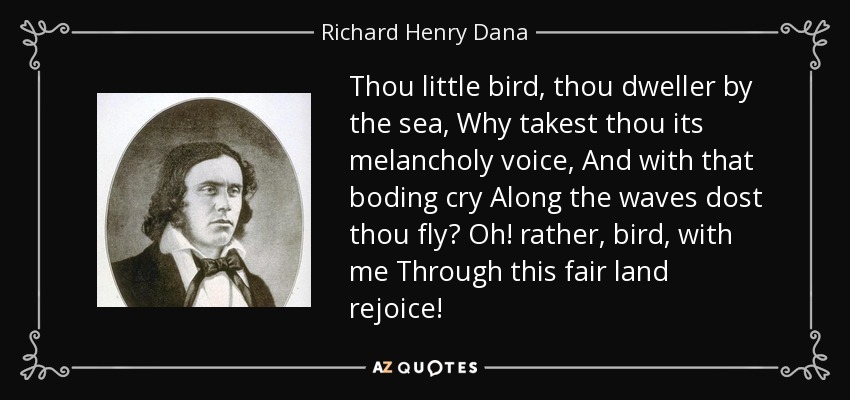 Thou little bird, thou dweller by the sea, Why takest thou its melancholy voice, And with that boding cry Along the waves dost thou fly? Oh! rather, bird, with me Through this fair land rejoice! - Richard Henry Dana, Jr.