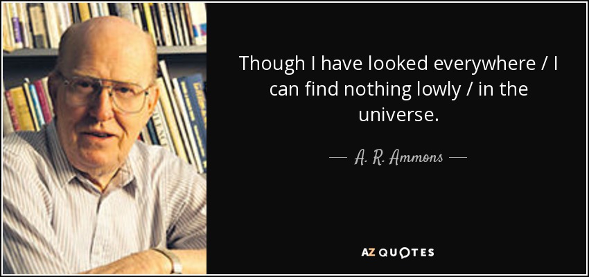 Though I have looked everywhere / I can find nothing lowly / in the universe. - A. R. Ammons