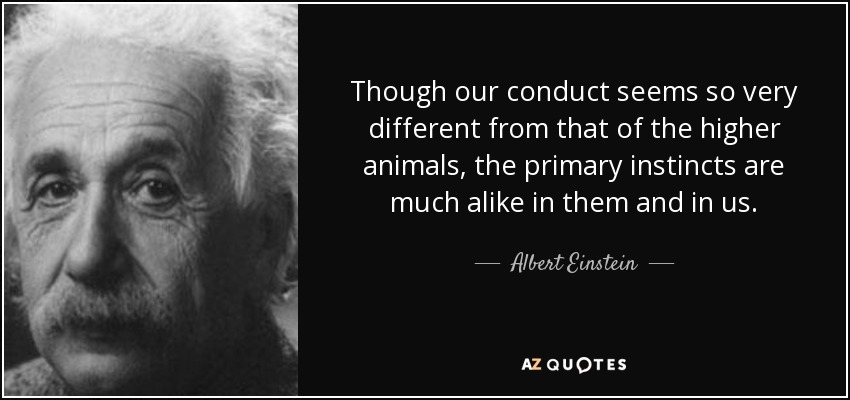 Though our conduct seems so very different from that of the higher animals, the primary instincts are much alike in them and in us. - Albert Einstein