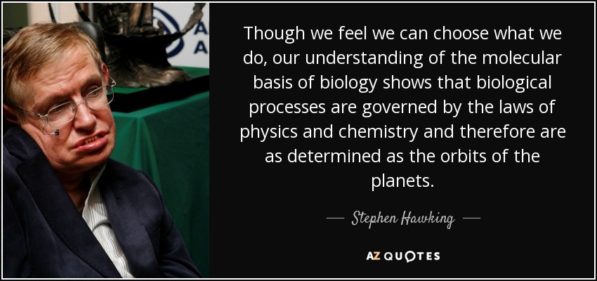 Though we feel we can choose what we do, our understanding of the molecular basis of biology shows that biological processes are governed by the laws of physics and chemistry and therefore are as determined as the orbits of the planets. - Stephen Hawking