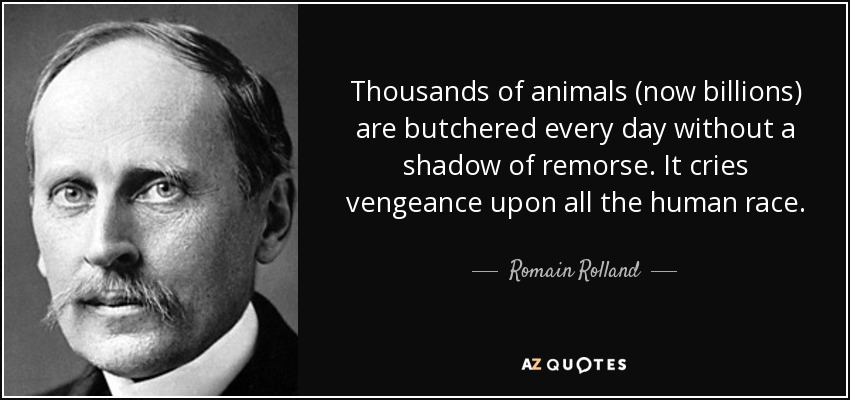 Thousands of animals (now billions) are butchered every day without a shadow of remorse. It cries vengeance upon all the human race. - Romain Rolland