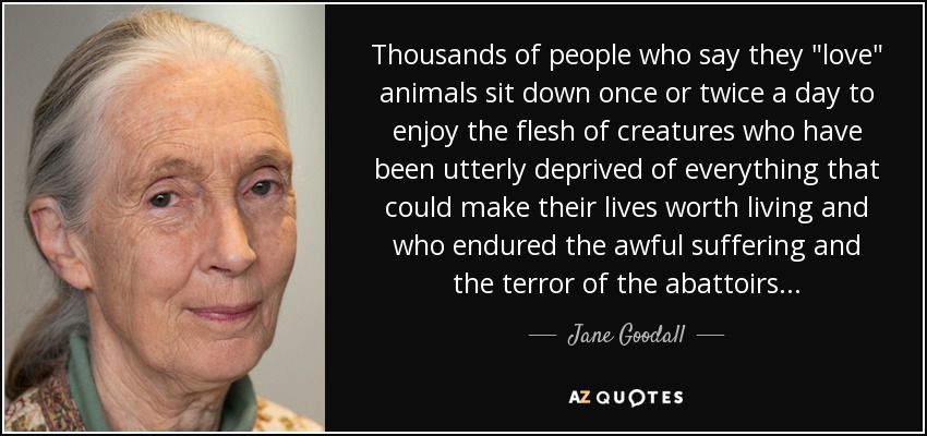 Jane Goodall quote: Thousands of people who say they 
