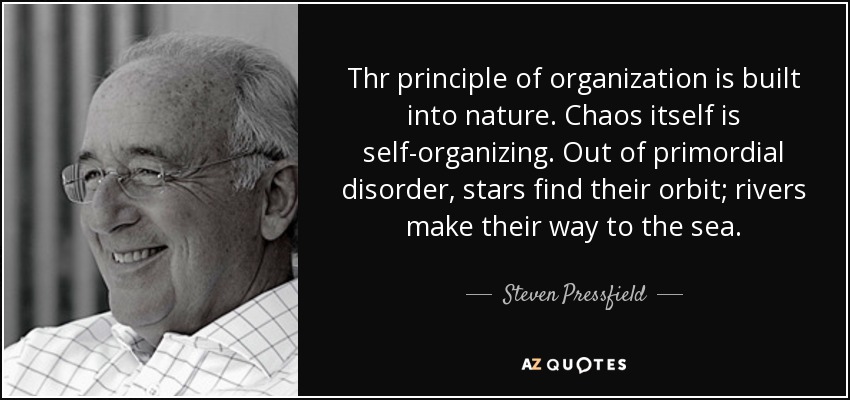Thr principle of organization is built into nature. Chaos itself is self-organizing. Out of primordial disorder, stars find their orbit; rivers make their way to the sea. - Steven Pressfield