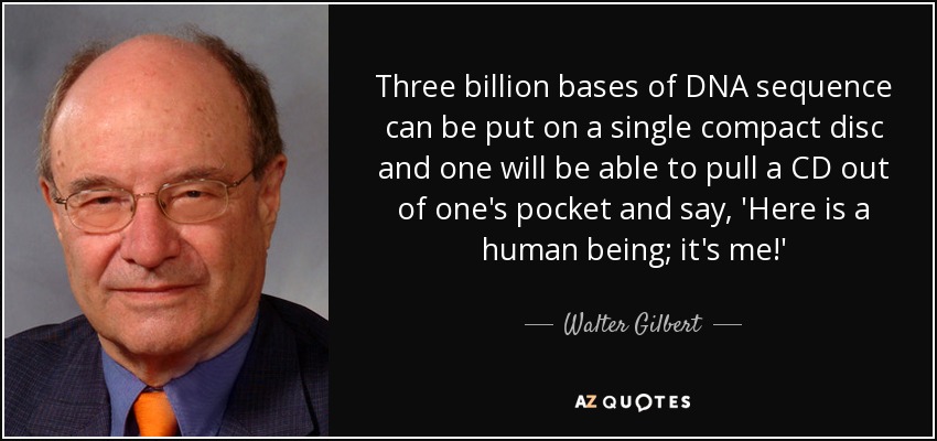 Three billion bases of DNA sequence can be put on a single compact disc and one will be able to pull a CD out of one's pocket and say, 'Here is a human being; it's me!' - Walter Gilbert