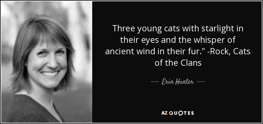 Three young cats with starlight in their eyes and the whisper of ancient wind in their fur.