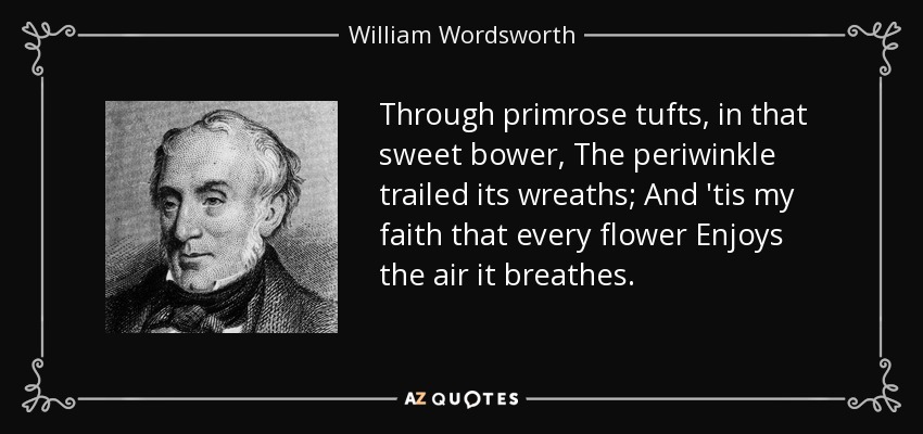 Through primrose tufts, in that sweet bower, The periwinkle trailed its wreaths; And 'tis my faith that every flower Enjoys the air it breathes. - William Wordsworth