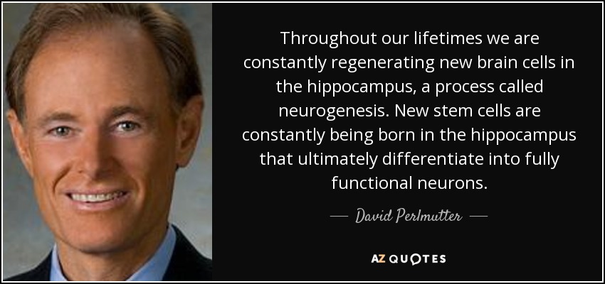 Throughout our lifetimes we are constantly regenerating new brain cells in the hippocampus, a process called neurogenesis. New stem cells are constantly being born in the hippocampus that ultimately differentiate into fully functional neurons. - David Perlmutter