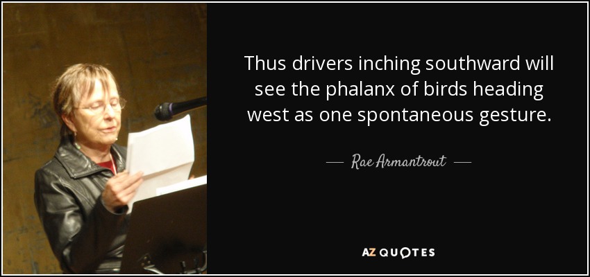 Thus drivers inching southward will see the phalanx of birds heading west as one spontaneous gesture. - Rae Armantrout