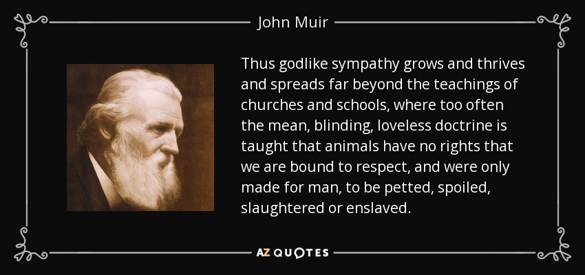 Thus godlike sympathy grows and thrives and spreads far beyond the teachings of churches and schools, where too often the mean, blinding, loveless doctrine is taught that animals have no rights that we are bound to respect, and were only made for man, to be petted, spoiled, slaughtered or enslaved. - John Muir