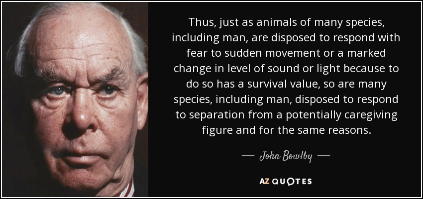 Thus, just as animals of many species, including man, are disposed to respond with fear to sudden movement or a marked change in level of sound or light because to do so has a survival value, so are many species, including man, disposed to respond to separation from a potentially caregiving figure and for the same reasons. - John Bowlby