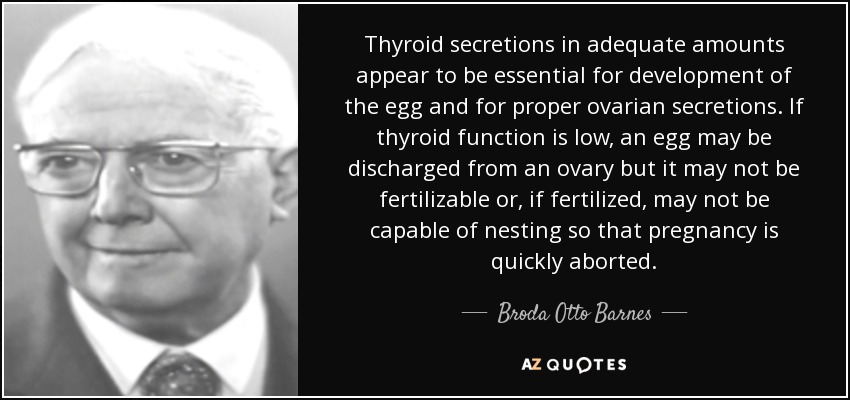 Thyroid secretions in adequate amounts appear to be essential for development of the egg and for proper ovarian secretions. If thyroid function is low, an egg may be discharged from an ovary but it may not be fertilizable or, if fertilized, may not be capable of nesting so that pregnancy is quickly aborted. - Broda Otto Barnes