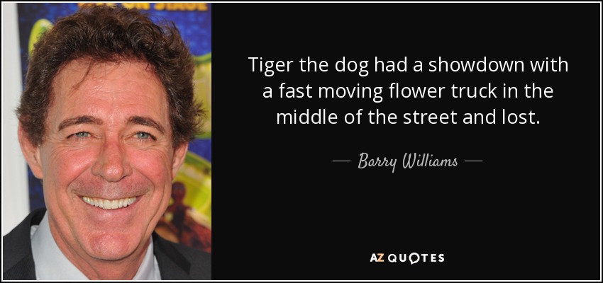 Tiger the dog had a showdown with a fast moving flower truck in the middle of the street and lost. - Barry Williams
