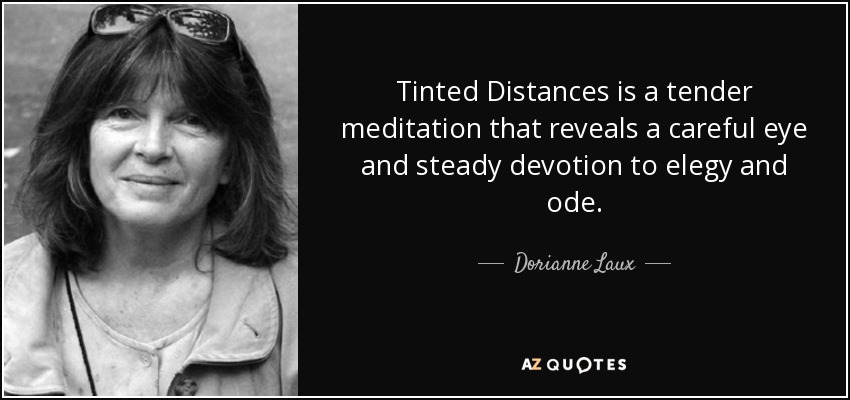 Tinted Distances is a tender meditation that reveals a careful eye and steady devotion to elegy and ode. - Dorianne Laux