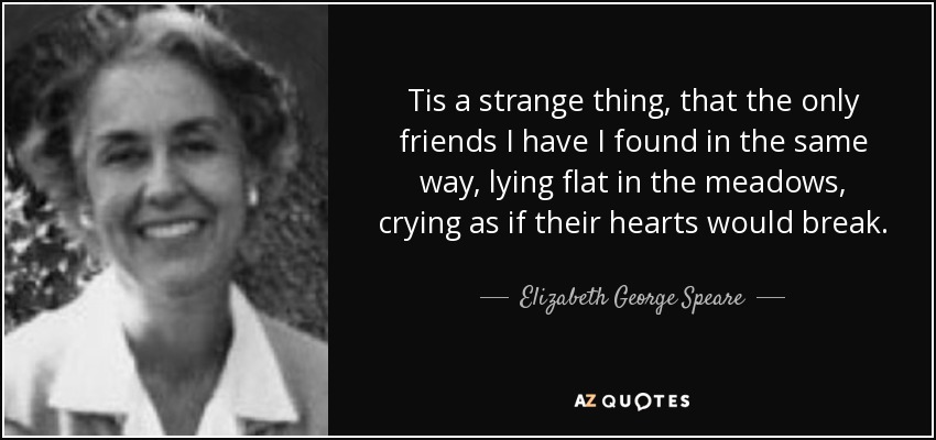 Tis a strange thing, that the only friends I have I found in the same way, lying flat in the meadows, crying as if their hearts would break. - Elizabeth George Speare