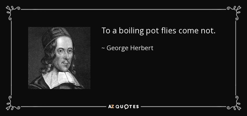 To a boiling pot flies come not. - George Herbert