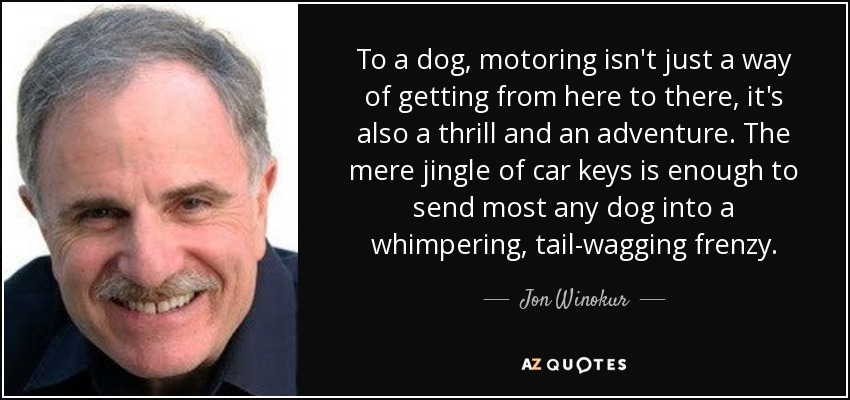 To a dog, motoring isn't just a way of getting from here to there, it's also a thrill and an adventure. The mere jingle of car keys is enough to send most any dog into a whimpering, tail-wagging frenzy. - Jon Winokur