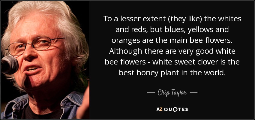 To a lesser extent (they like) the whites and reds, but blues, yellows and oranges are the main bee flowers. Although there are very good white bee flowers - white sweet clover is the best honey plant in the world. - Chip Taylor