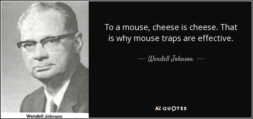 To a mouse, cheese is cheese. That is why mouse traps are effective. - Wendell Johnson