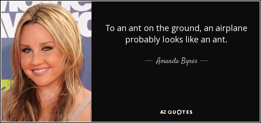 To an ant on the ground, an airplane probably looks like an ant. - Amanda Bynes