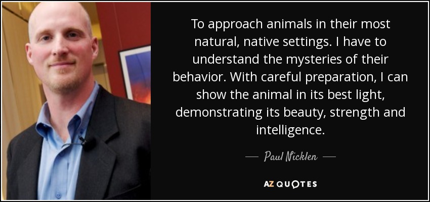 To approach animals in their most natural, native settings. I have to understand the mysteries of their behavior. With careful preparation, I can show the animal in its best light, demonstrating its beauty, strength and intelligence. - Paul Nicklen