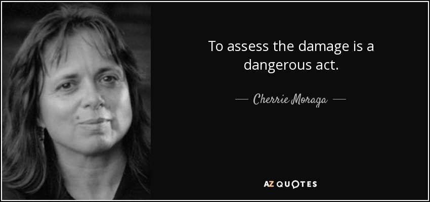 To assess the damage is a dangerous act. - Cherrie Moraga