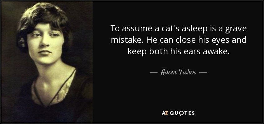 To assume a cat's asleep is a grave mistake. He can close his eyes and keep both his ears awake. - Aileen Fisher