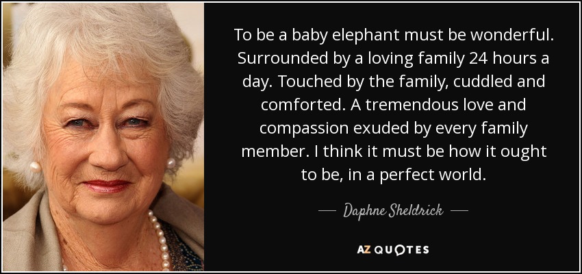 To be a baby elephant must be wonderful. Surrounded by a loving family 24 hours a day. Touched by the family, cuddled and comforted. A tremendous love and compassion exuded by every family member. I think it must be how it ought to be, in a perfect world. - Daphne Sheldrick