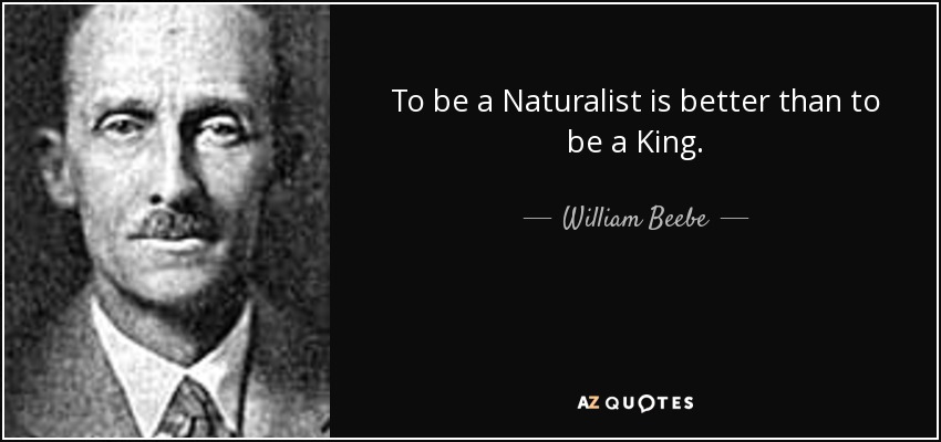 To be a Naturalist is better than to be a King. - William Beebe