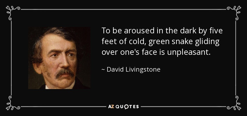 To be aroused in the dark by five feet of cold, green snake gliding over one's face is unpleasant. - David Livingstone