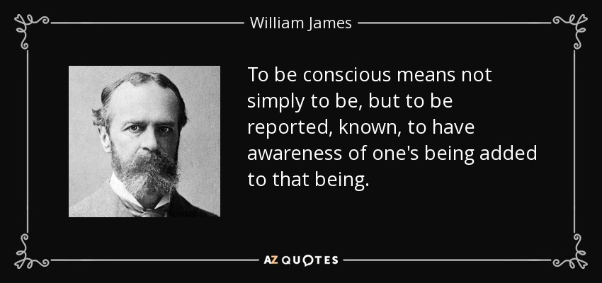 To be conscious means not simply to be, but to be reported, known, to have awareness of one's being added to that being. - William James