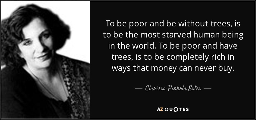 To be poor and be without trees, is to be the most starved human being in the world. To be poor and have trees, is to be completely rich in ways that money can never buy. - Clarissa Pinkola Estes