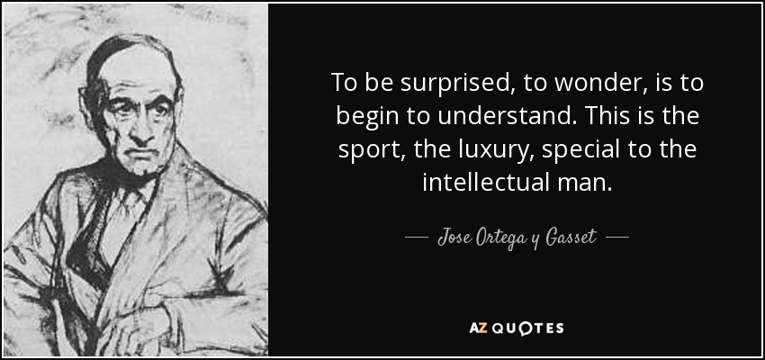 To be surprised, to wonder, is to begin to understand. This is the sport, the luxury, special to the intellectual man. - Jose Ortega y Gasset