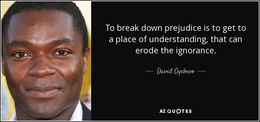 To break down prejudice is to get to a place of understanding, that can erode the ignorance. - David Oyelowo